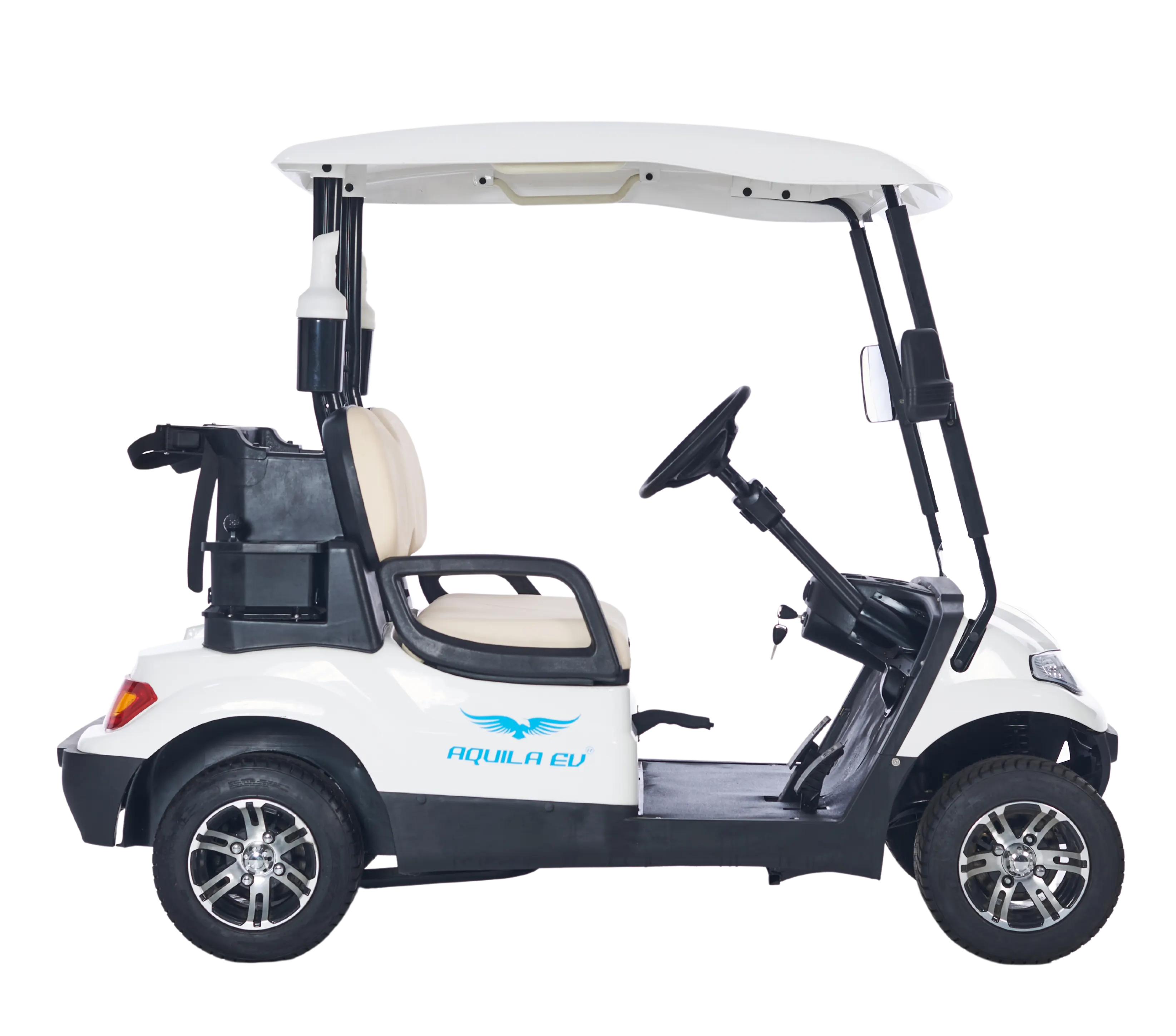 2 seater electric golf cart - Tri Electric