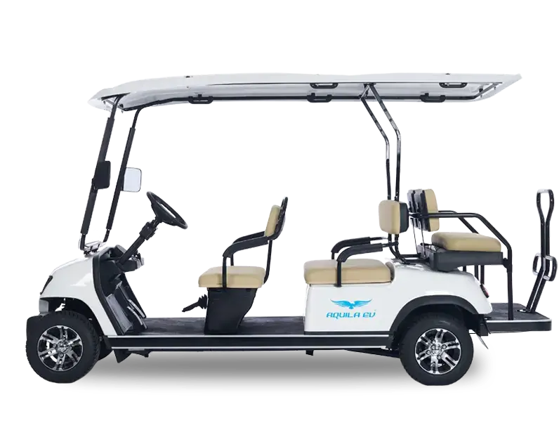 about electric vehicle