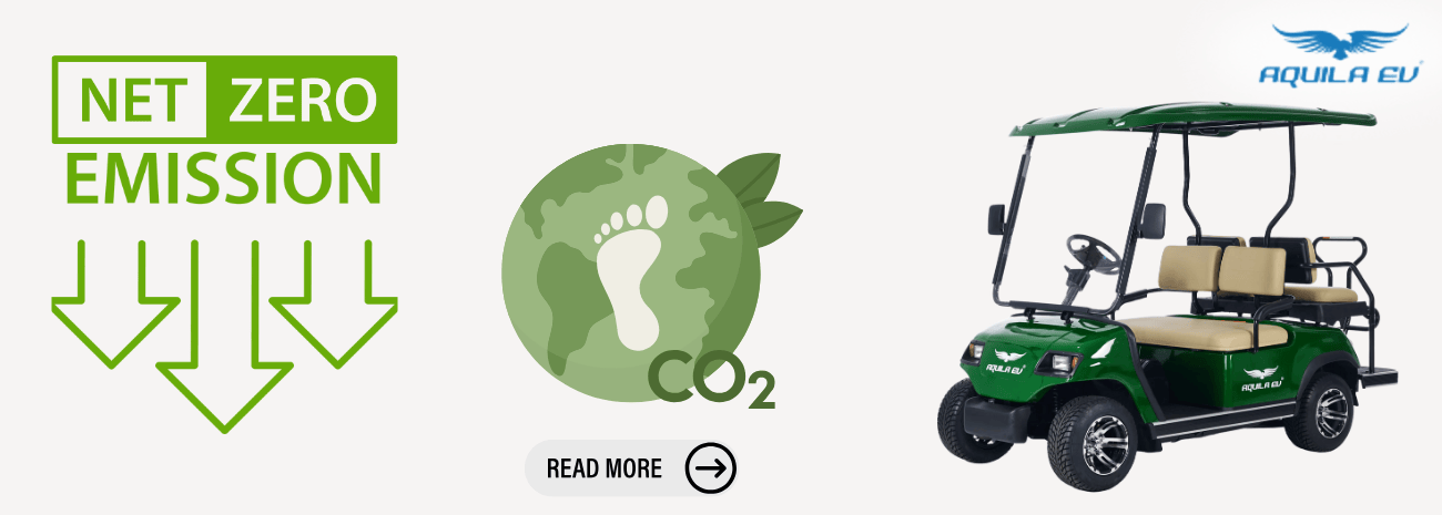 Electric Buggies: One of the Solutions to India's Net Zero Targets
