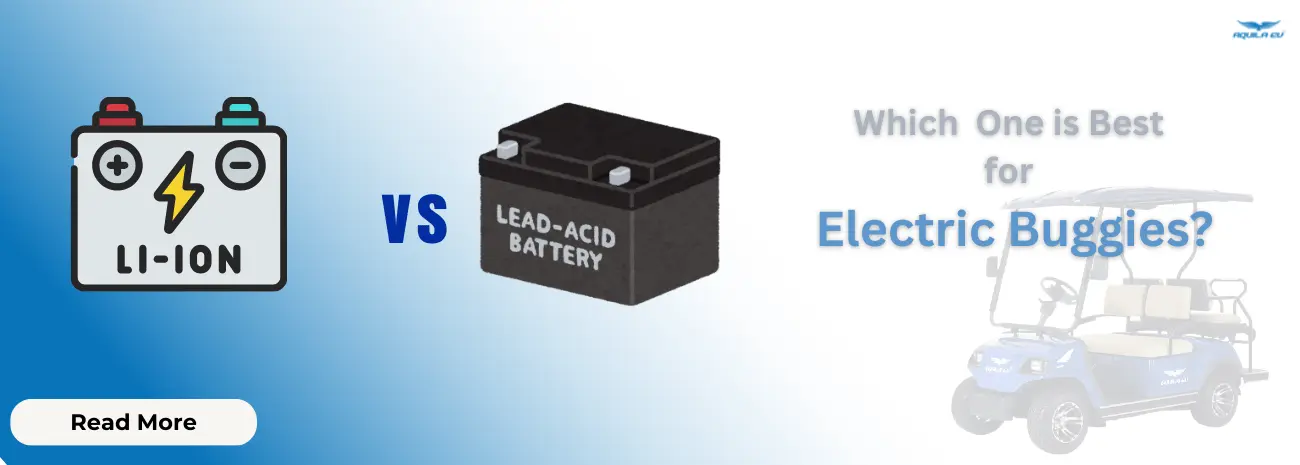 Lithium ion vs lead acid battery for elctric buggies