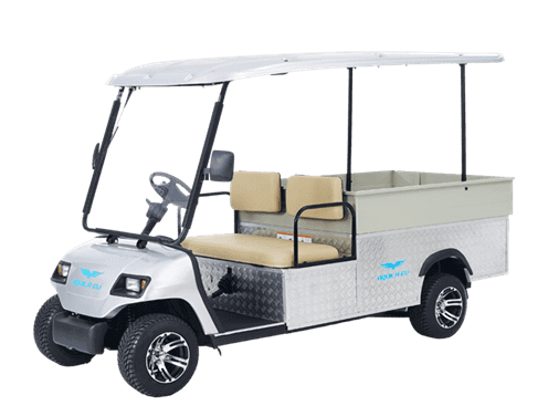 An electric utility golf cart with a 2-seater cabin and a cargo bed, displayed isolated on a white background.